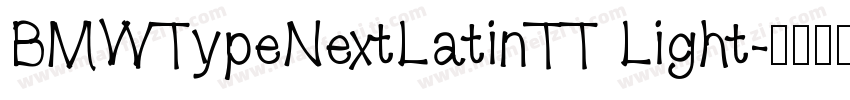 BMWTypeNextLatinTT Light字体转换